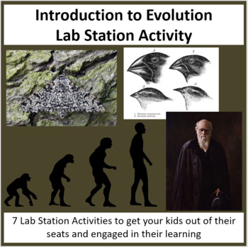 Preview of Introduction to Evolution - Lab Station Activity