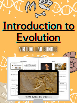 Preview of Introduction to Evolution Virtual Lab Bundle