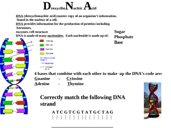 Introduction to Genetics Powerpoint by Science Guy - Math Girl | TPT