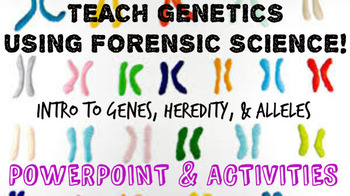 Genetics Lesson Worksheets Teaching Resources Tpt - 