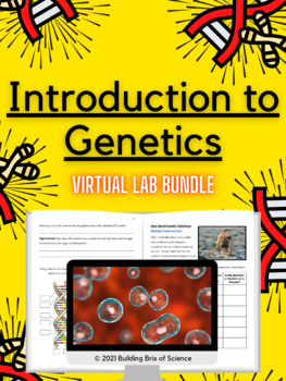Preview of Introduction to Genetics Virtual Lab Bundle