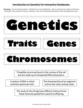 Introduction to Genetics for Interactive Notebooks by Science from the