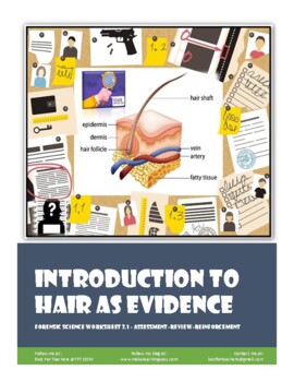 Preview of Introduction to Hair Evidence (Forensic Science)