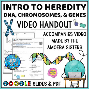 Preview of DNA, Chromosomes, and Genes: Intro to Heredity Amoeba Sisters Video Handout