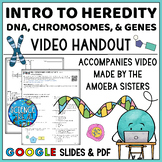 DNA, Chromosomes, and Genes: Intro to Heredity Amoeba Sist
