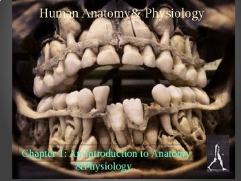 Preview of Introduction to Human Anatomy & Physiology