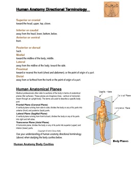 Introduction to Human Anatomy Terminology by Biology Boutique | TpT