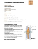 Introduction to Human Anatomy Terminology