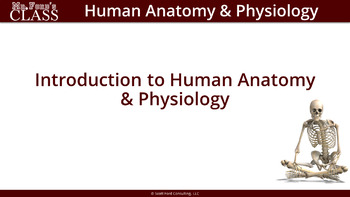 Preview of Unit 01 - Introduction to Human Anatomy & Physiology