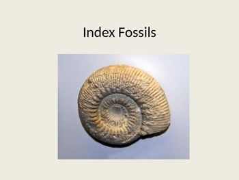 Introduction to Index Fossils Powerpoint by Rich Fried | TPT