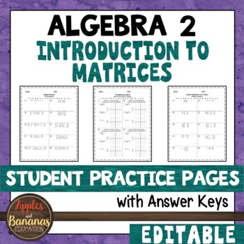 Preview of Introduction to Matrices - Editable Student Practice Pages