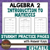 Introduction to Matrices - Editable Student Practice Pages