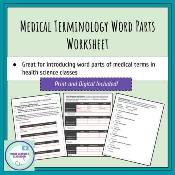Preview of Introduction to Medical Terminology Word Parts Worksheet - Digital and Print