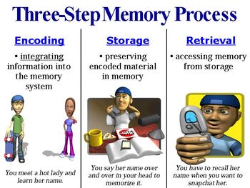 Preview of Introduction to Memory, Encoding, and Storage PowerPoint