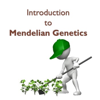 Preview of Introduction to Mendelian Genetics Package