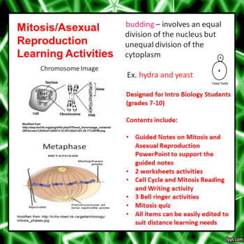 Preview of Mitosis/Asexual Reproduction Learning Activities  (Distance Learning)