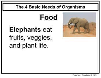 Introduction to Organisms - Digital - Google™ Slides by Three Very Busy ...
