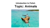 Introduction to Polish Language Polski Presentation Animal