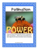 Introduction to Pollination--connecting to the 2nd grade N