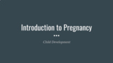 Introduction to Pregnancy Vocabulary Terms Google Slides