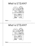 Introduction to STEAM/STEM Mini-Book