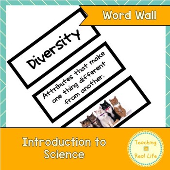 Preview of Introduction to Science Word Wall/Vocabulary Cards