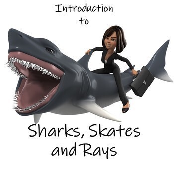 Preview of Introduction to Sharks, Skates and Rays