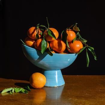 Preview of Introduction to Still Life