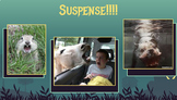 Introduction to Suspense Genre & Elements of Suspense
