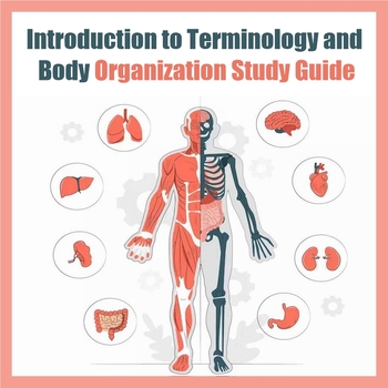 Preview of Introduction to Terminology and Body Organization Student-Ready Activities