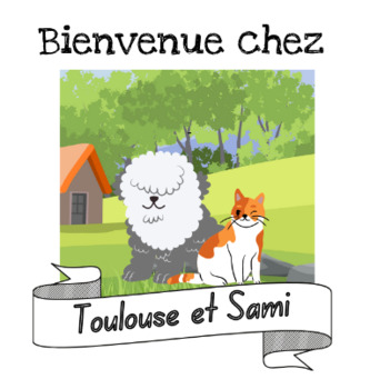 Preview of Introduction - Toulouse et Sami - Decodable Readers for French Immersion