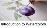 Introduction to Watercolors Lesson, Activities and Assignment