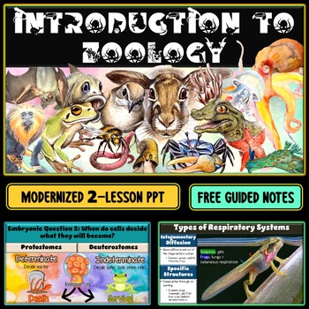 Preview of Introduction to Zoology PowerPoint Slideshow (2 LESSONS) + FREE Guided Notes
