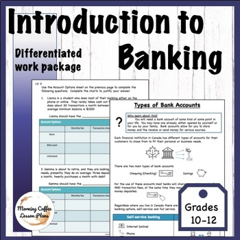Preview of Introduction to bank accounts, account statements, differentiated work, grade 11
