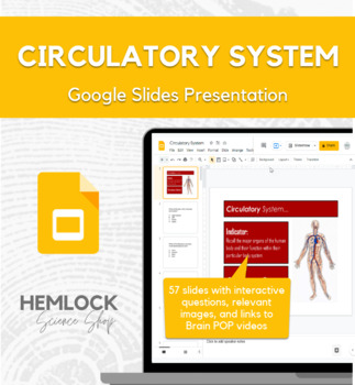 Preview of Introduction to the Circulatory System - Google Slides Presentation