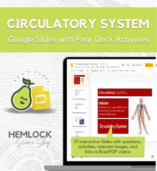 Preview of Introduction to the Circulatory System - Slides & Pear Deck Presentation