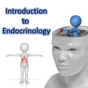 Preview of Introduction to the Endocrine System