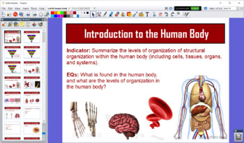 Preview of Introduction to the Human Body - Flipchart Presentation