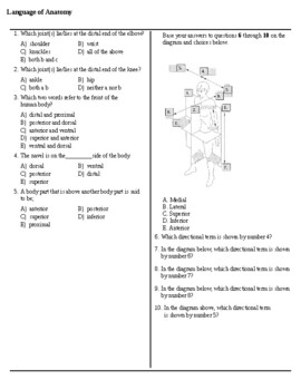 Preview of Introduction to the Human Body: Language of Anatomy