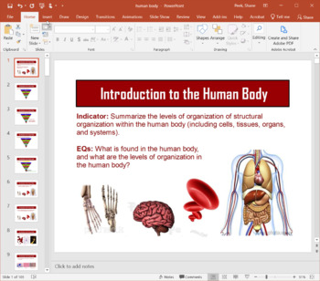 Preview of Introduction to the Human Body - PowerPoint Presentation