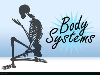 Preview of Introduction to the Human Body Systems (Plus Creative Project!!!)