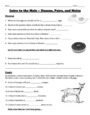 Introduction to the Mole -- Worksheet Set (Dozens, Pairs, 