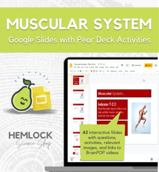 Preview of Introduction to the Muscular System - Slides & Pear Deck Presentation