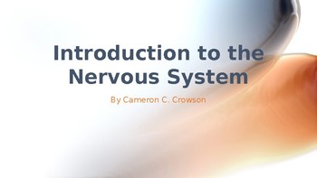 Preview of Introduction to the Nervous System