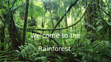 Introduction to the Rainforest