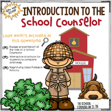 Introduction to the School Counselor
