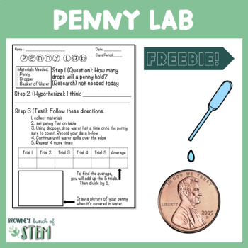 Preview of Introduction to the Scientific Method with a Penny {FREEBIE}