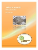 Introduction to Types of Fossils