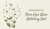 Introductory Presentation for Their Eyes Were Watching God
