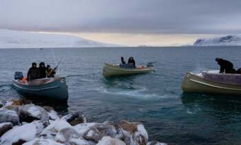 Preview of Inuit Culture & Environment relations - article and questions